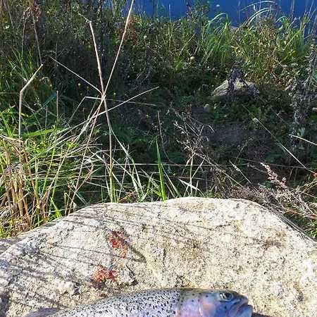 Pedersminde * Fredensborg