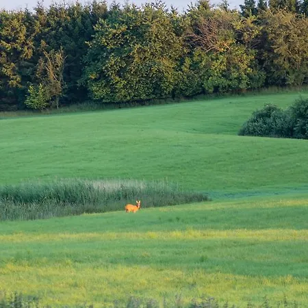 Pedersminde Vakantiehuis *